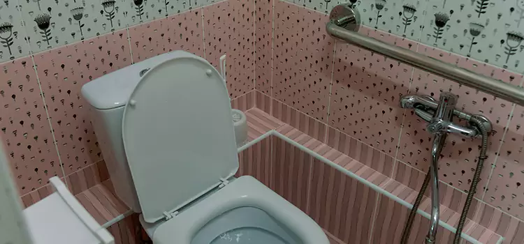 Meeting Diverse Needs With Accessible Restroom Solutions in Burbank, IL
